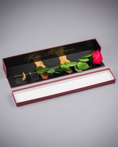Роза Премиум в подарочной коробке(бордо) комплимент .Бутон красный.
