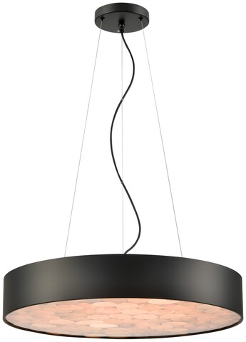 Светильник подвесной Wertmark Edera WE510.01.723