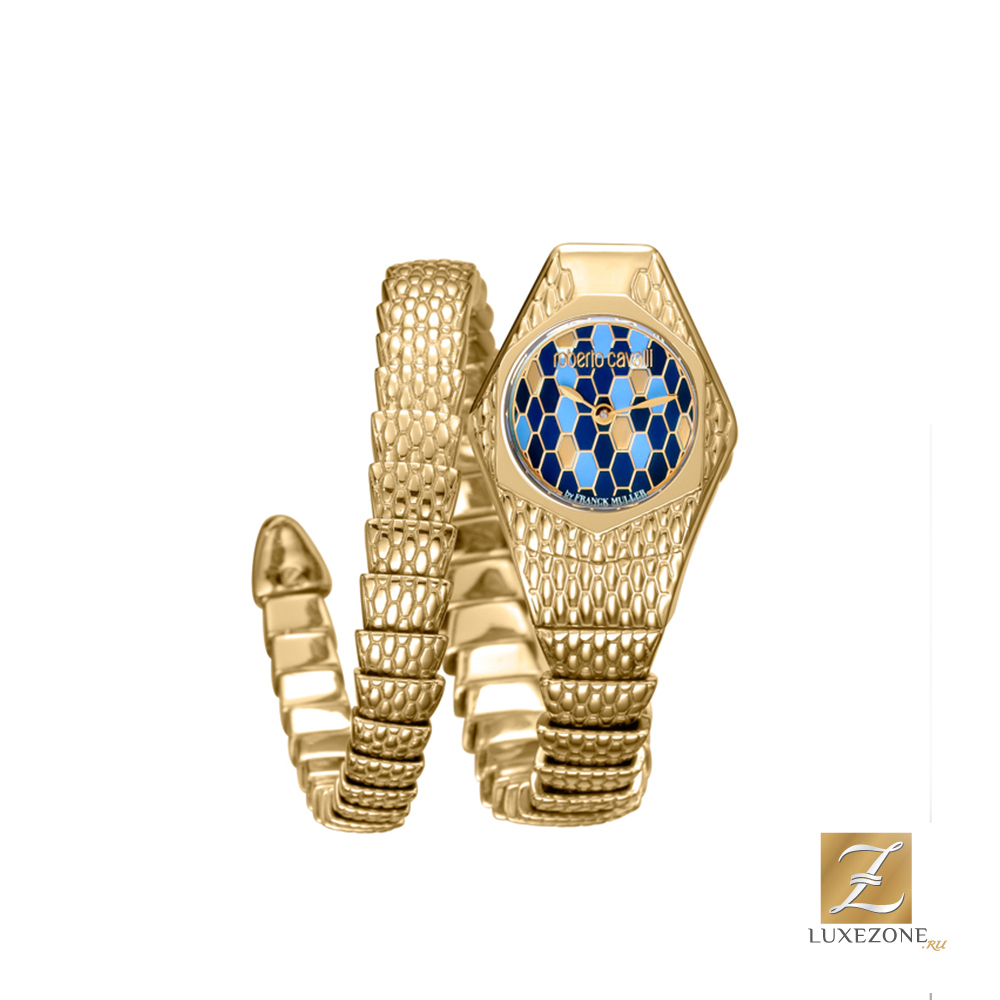 

Roberto Cavalli by Franck Muller RV1L043M0021