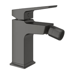 Aqueduto CLA0545 AQD CLARO Смеситель для биде, оружейная сталь фото