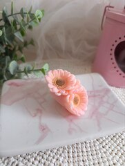 Силиконовая форма 