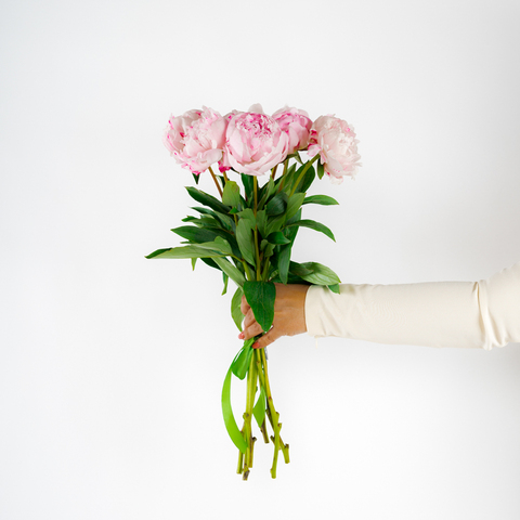 Букет 7 нежно-розовых пионов