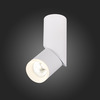 Светильник потолочный ST Luce Tortelle ST107.542.10