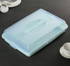 Тортовница прямоугольная, 29 см х 44 см, цвет МИКС