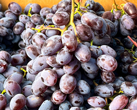 Сладкий крупный крымский виноград