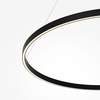 Подвесной светильник Maytoni Rim MOD058PL-L54BK