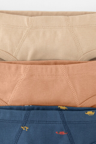 трусы/ уп  для мальчика  К 1928-3уп/пробковое дерево,бежевый,транспорт