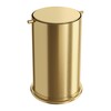 Boheme 10916-MG Ведро для мусора с вращающейся крышкой Matt Gold