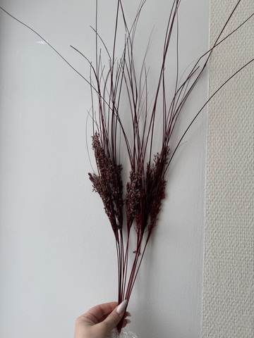 Трава стабилизированная Бордовый (45-60 см)