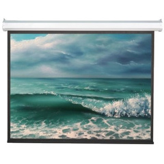 Экран Viewscreen Antis EAN-16905