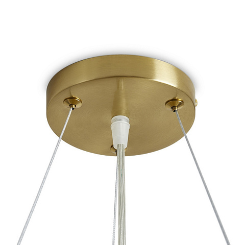 Подвесной светодиодный светильник Freya COZY FR6170PL-L52BS