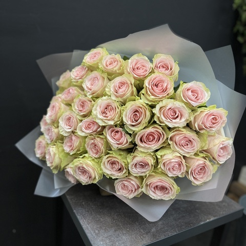 Роза нежная розовая Фрутетта