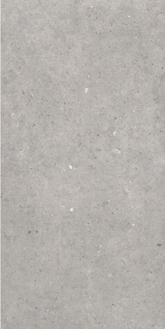 Sanchis Home Cement Stone Grey 60x120