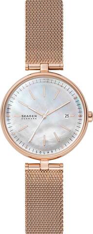 Наручные часы Skagen SKW2980 фото