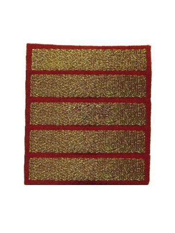 Курсовка Полиция вышитая 5 курс