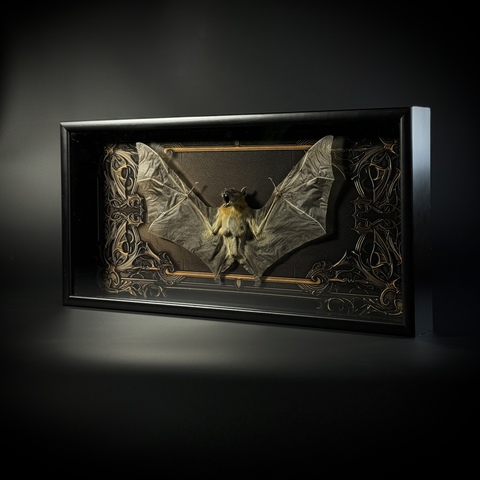 Летучая мышь