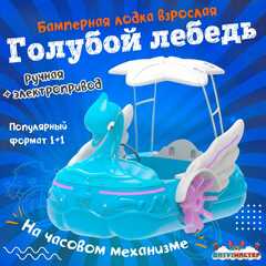 Семейная электрическая лодка-катамаран «Голубой лебедь», 1+1