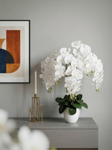 Орхидеи искусственные Люкс в кашпо белоснежные 5 веток