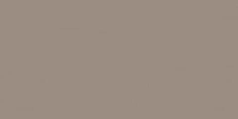 Estima Rainbow RW041 Light Brown Непол.Рект. 60x120