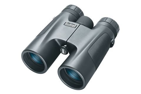 Бинокль Bushnell PowerView ROOF 8x32