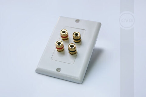 CVGAUDIO WSP02 Двухканальный декоративный настенный кабельный вывод (акустическая розетка)