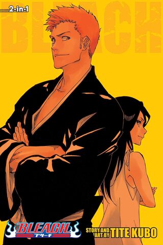 Bleach Vol. 73-74 (На Английском Языке)