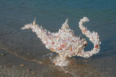 Magic lamp Magic lamp