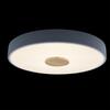Потолочный светильник Loft It Axel 10003/24 Grey
