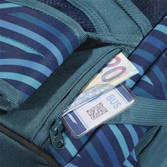 Рюкзак Coocazoo ScaleRale Zebra Stripe Blue
