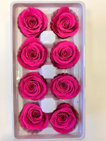 Роза класса 