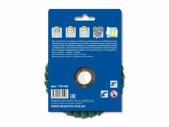 Круг лепестковый полировальный ПРАКТИКА 125 х 22 мм,  мягкий, войлочный, абразивный (779-196)