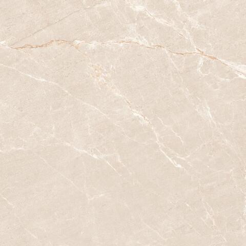 Neodom Sale Persian Beige Matt 120x120