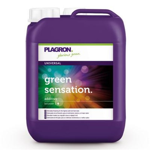 Green sensation 5 L