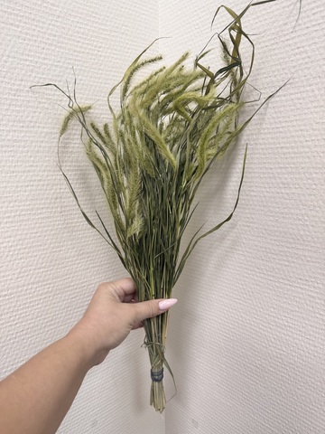 Сетария мини натурально-зеленый