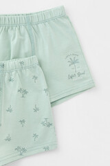 трусы/ уп  для мальчика  К 1912-2уп/голубая дымка,пальмы