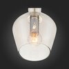 Подвес ST Luce Biorno SL364.103.01