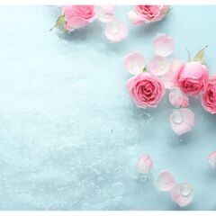 Панель потолочная ПВХ Novita 3D Ледяная роза