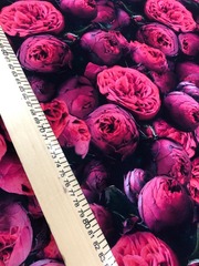 Кулирка с лайкрой Пион ш.180см пл.180г/м компакт Пенье