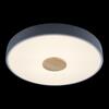 Потолочный светильник Loft It Axel 10003/24 Grey