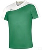 Футболка Mizuno Authentic Myou Tee мужская