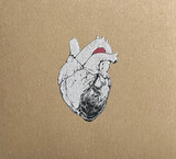 SWANS: The Beggar