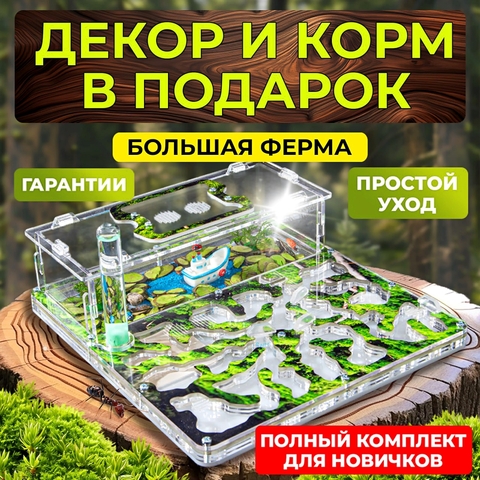 Формикарий для муравьев Макси 