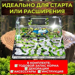 муравьиная ферма