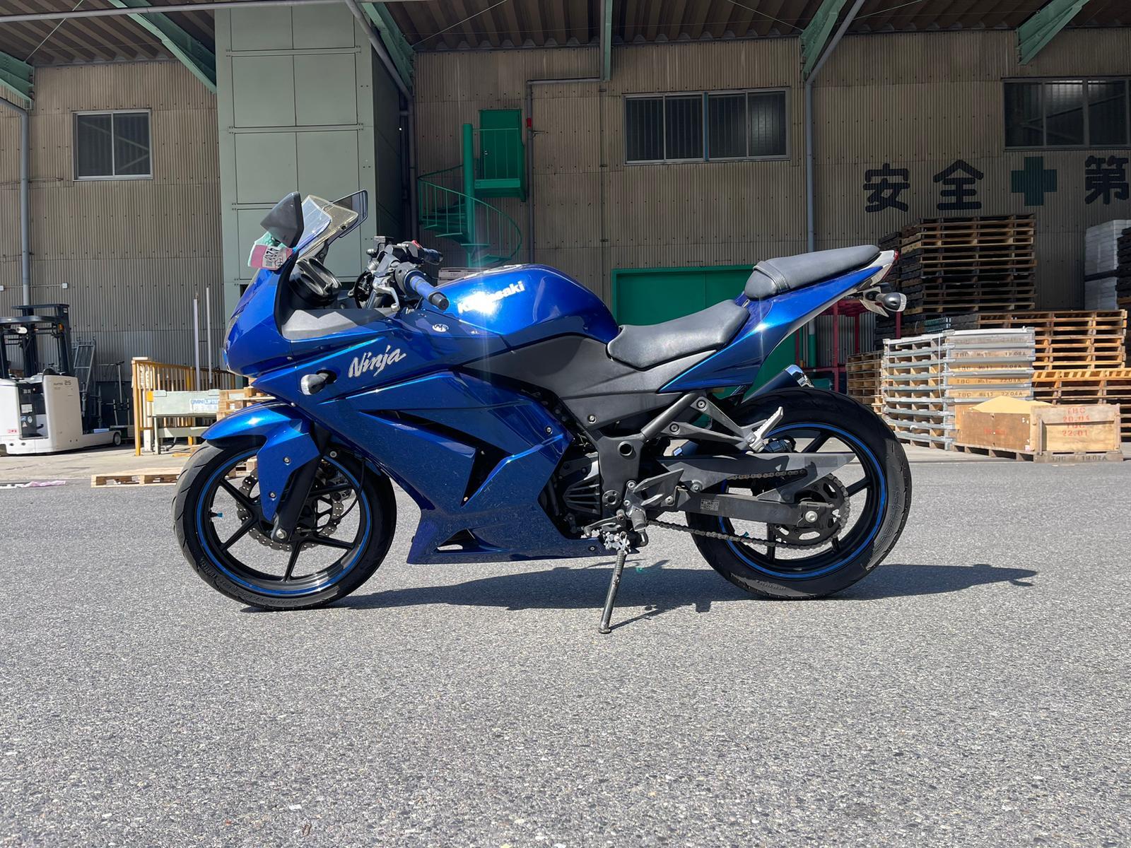 Ninja 250 chopper cheap