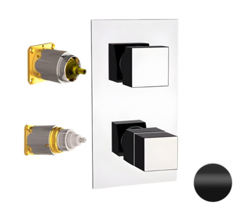 REMER QT92KBNO Смеситель для ванны/душа термостат на 2 потока скрытый монтаж (заказывать совместно с rrbox92) qubika thermo