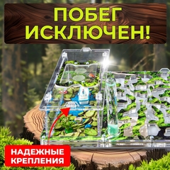 муравьиная ферма