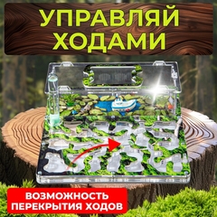 муравьиная ферма