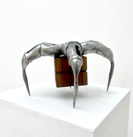 Wood Body Bug #9 из серии «Паранормальные явления» Wood Body Bug #9 из серии «Паранормальные явления»
