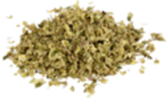 Софора японская (цвет)