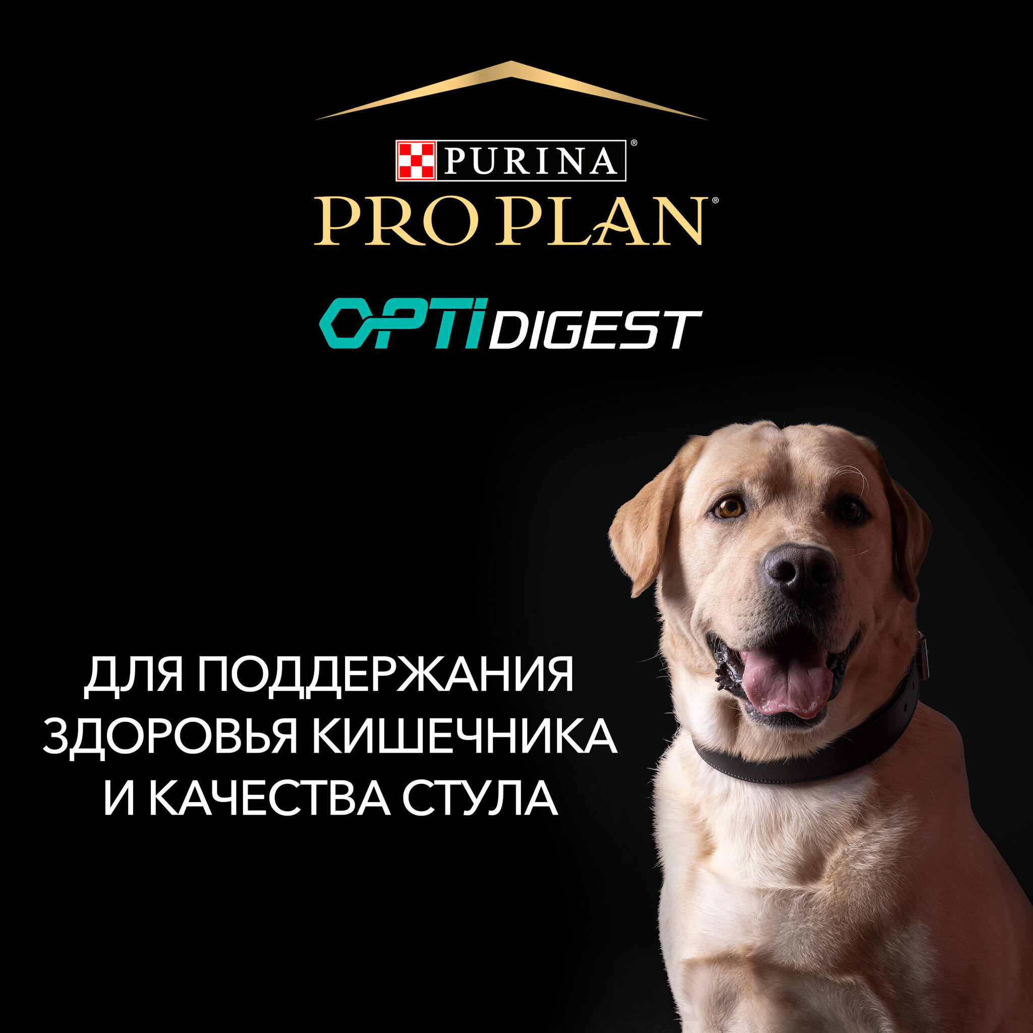 Сухой корм Pro Plan для взрослых собак средних пород с чувствительным  пищеварением, с высоким содержанием ягненка купить с доставкой в  интернет-магазине зоогастроном.ру